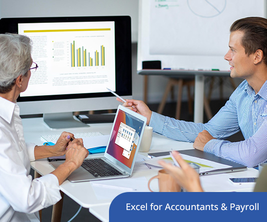 Excel for Accountants & Payroll: Advanced 2025 Guide