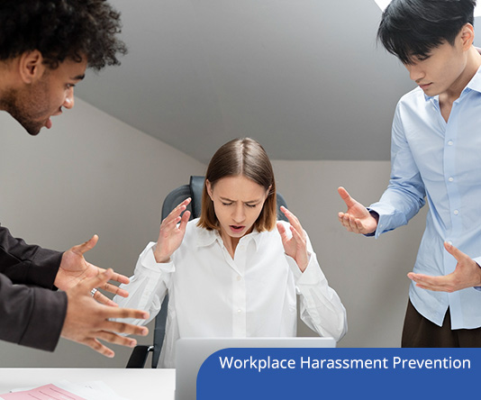 Workplace Harassment Prevention: How to Conduct an Internal Harassment and Bullying Investigation