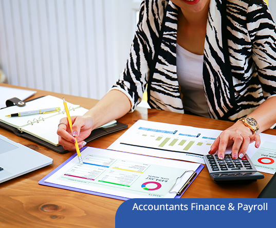 Advanced Excel Skills for Accountants Finance & Payroll Professional 2025