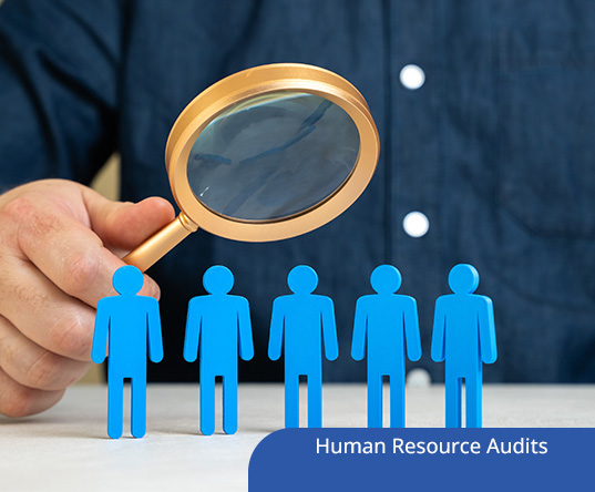 Human Resource Audits: How to Conduct a Practical Audit Without Overwhelm