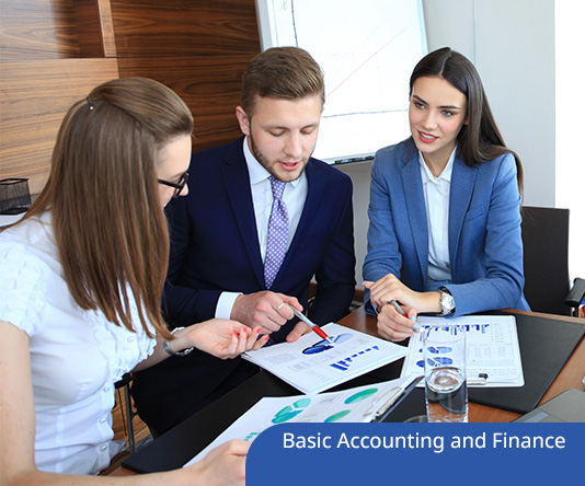 Basic Accounting and Finance for the Human Resources Professional