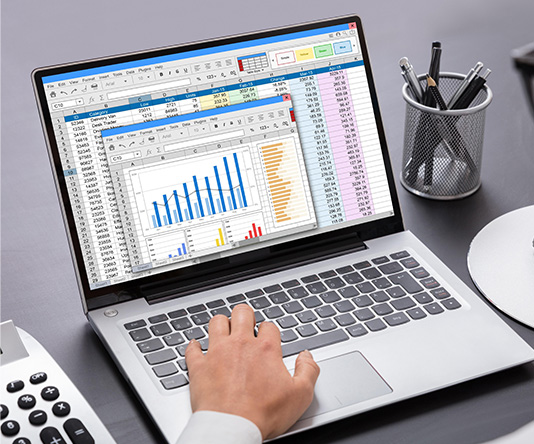 Advanced Excel Skills for Accountants Finance & Payroll Professional